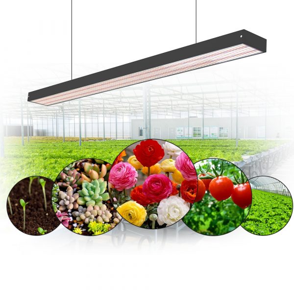 Grow light flat | Flat Panel LED Grow Light | Queendom